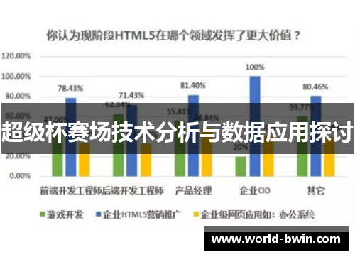 超级杯赛场技术分析与数据应用探讨