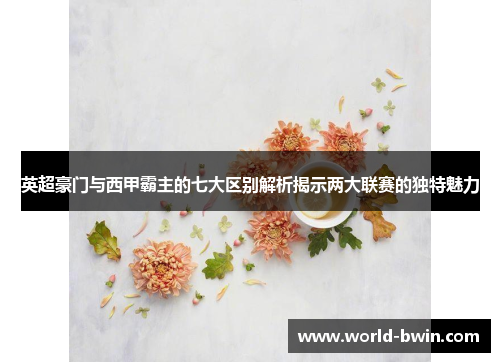 英超豪门与西甲霸主的七大区别解析揭示两大联赛的独特魅力